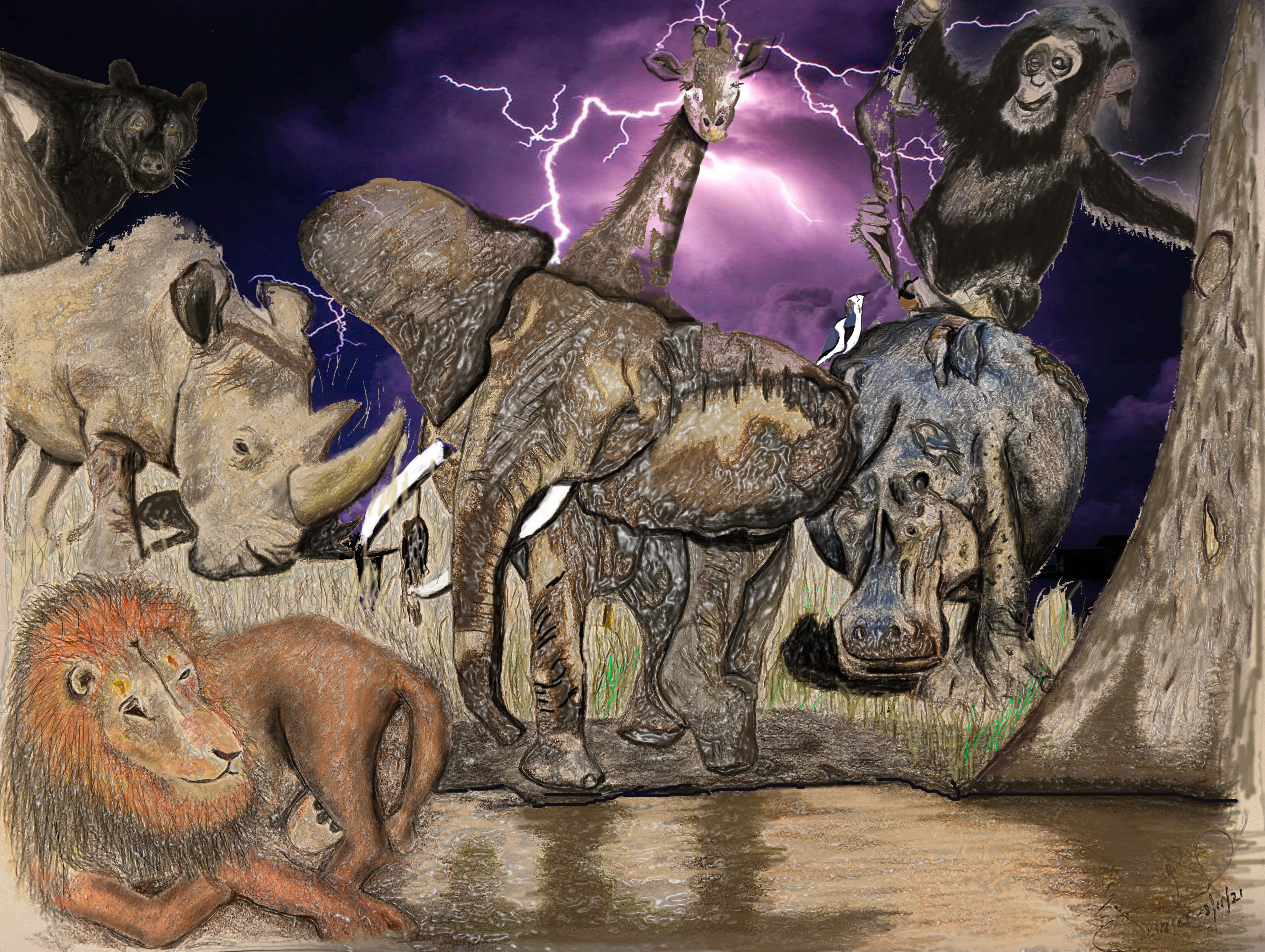 Wild Wonders: The Animal Kingdom Collection