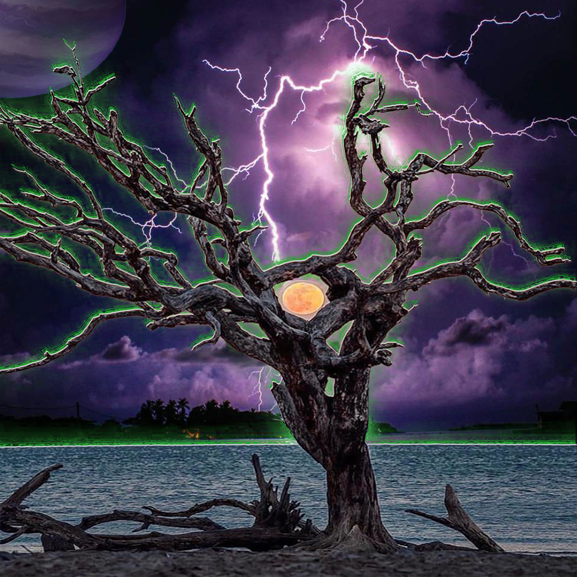 Nature's Harmony: Tree Sun Collection